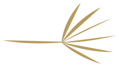 Artboard 43